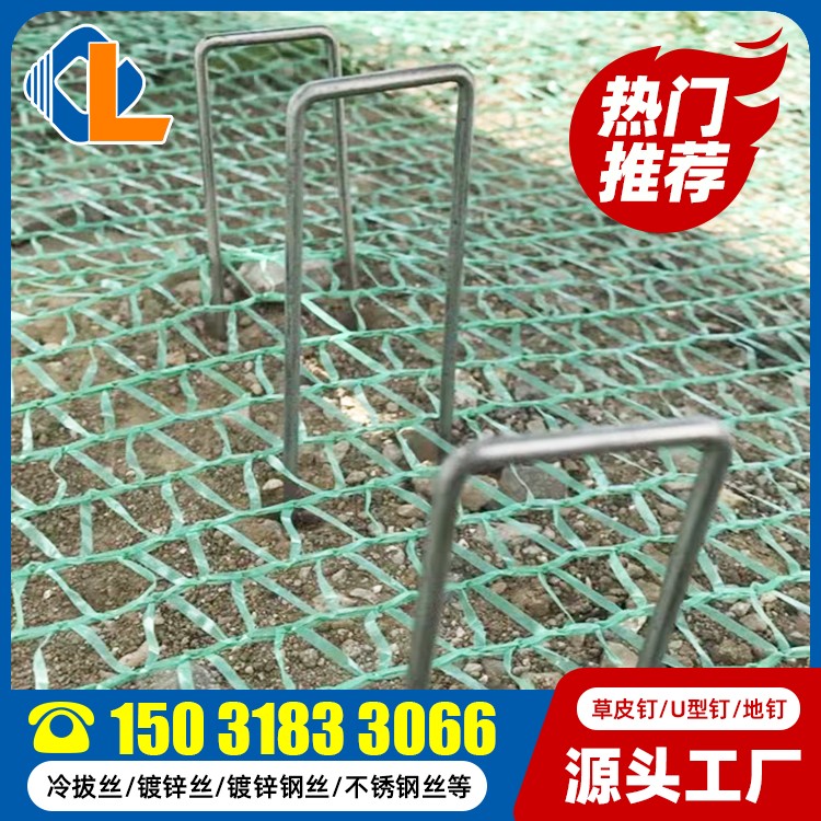土工格柵草皮釘尺寸 U型錨釘價格 草坪釘廠家 地釘規(guī)格