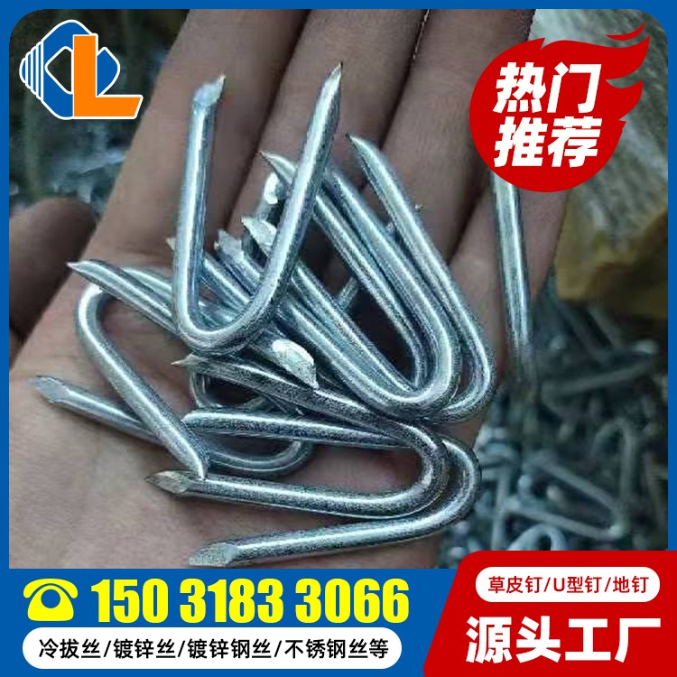 U型抓釘 土工格柵草坪釘規(guī)格 草坪釘哪里有賣 草坪釘固定器圖片